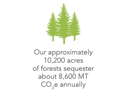 Our approximately 10,200 acres of forests sequester about 8,600 MT CO<sub>2</sub>e annually